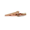 Chinese Factory Hot Sale copper wire clip spring clips