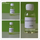 Natural Peppermint Essential Oil Price Mint Oil China Material Medicine Oil Bulk OEM/ODM