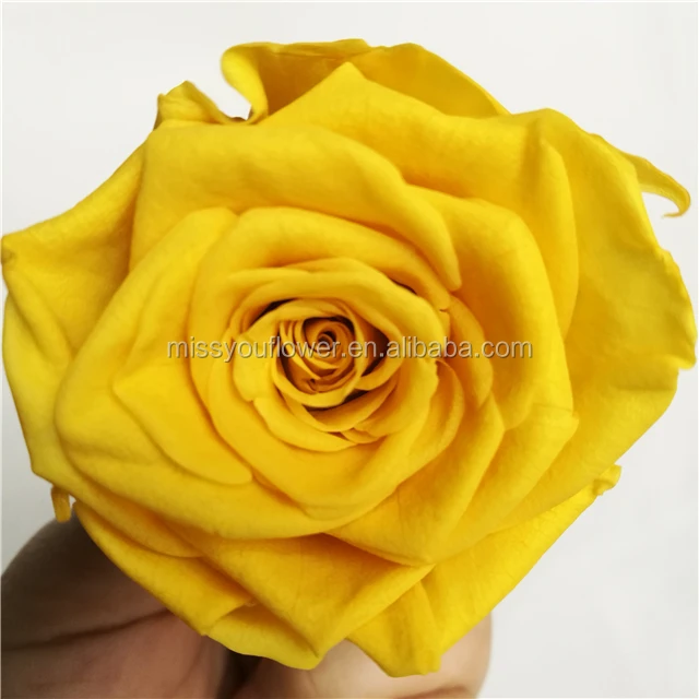 sweet pink 2-3cm