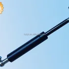 2 Rear Trunk Tailgate Gas Lift Supports Struts Springs for Automotive(ISO9001:2008)