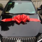 Hot Sale Wedding Giant Red Car Bows For Car Decoration