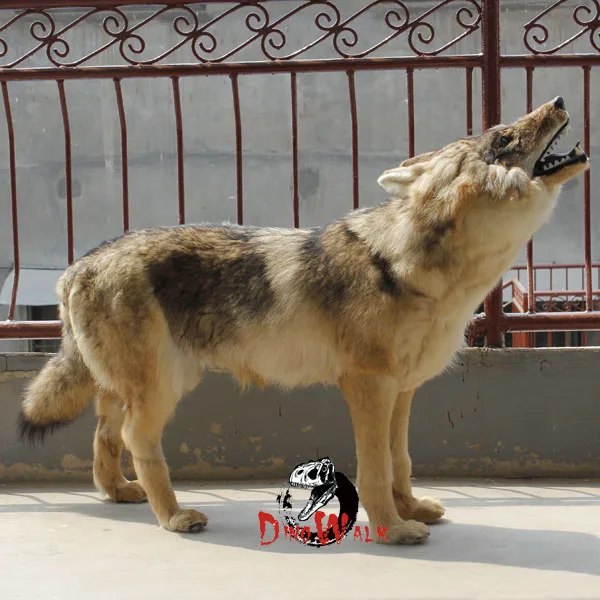 simulation wolf (3).jpg