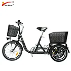 Factory directly Family used 36V 250W adult Large electric tricycle for shopping (EB01)