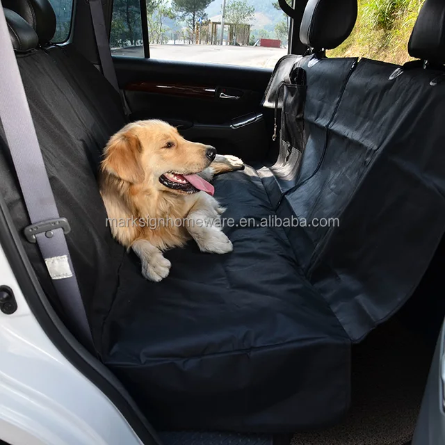 # Ultimate Guide to Choosing the Best Car Pet Harness for Safe and Comfortable Travel