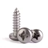 M6 Galvanized A2 Stainless Steel Screw Phillips Pan Head Self Tapping Screw With Different Size screw