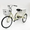 /product-detail/aluminum-adult-tricycle-cargo-for-sale-with-insulation-box-62008048963.html