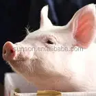 Feed Grade Complex Digestive Enzymes Animal SUNSON-I