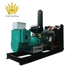 1mw Generator 1mw Generator Factory Custom 250kw 300kva 1mw Diesel Power Generator Cost