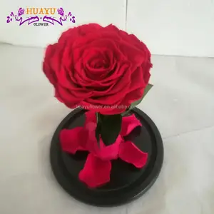 gifts & crafts flowers flower gorgeous 2,446 products found for