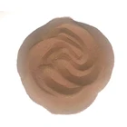 Factory Wholesale Price 50% 80% 90% Hatching Rate Strong Vitality Cyst Artemia