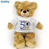 /product-detail/factory-custom-cheap-standing-plush-teddy-bear-with-t-shirts-60359424214.html