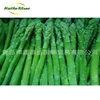 /product-detail/frozen-green-fresh-canned-asparagus-for-export-prices-60470015432.html