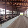 Pig Farm Building Livestock Shed Farming Building