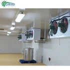 frozen chicken turkey cold room for fish cold storage project cost cold room for fish blast freezer container