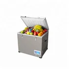 Reliable quality DC/AC mini car compressor refrigerator fridges freezer 60l for camping