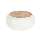 White Color Private Label Room Fragrance Aroma Diffuser Electric Wall Plug in Diffusers