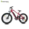 fat tire cargo electric bike /ebike/bicycle/electric bicycle/ebicycle/e-bike/e-bicycle