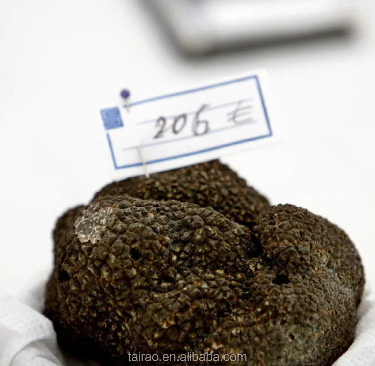 Truffle packaging box truffles mushrooms price fresh truffle