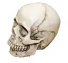 /product-detail/1-1-stimulate-skulls-factory-price-resin-skull-head-for-halloween-decoration-60751814061.html