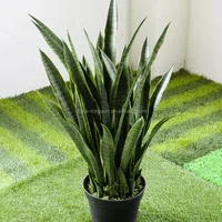 WS16061710 Manufacturer Wholesale Garden Decorative Plastic