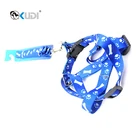 Wholesale dog leash dog collar leash harness chain dog harness