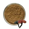 /product-detail/100-natural-ganoderma-lucidum-extract-bulk-powder-62158704314.html