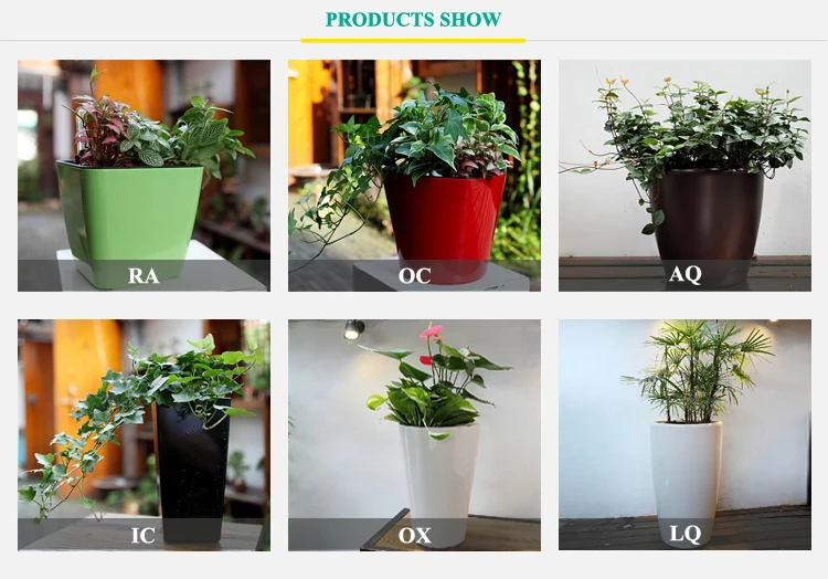 PRODUCTS SHOW.jpg