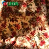 /product-detail/wholesale-flannel-100-polyester-minky-fabric-custom-printed-soft-baby-blanket-fabric-60812180934.html