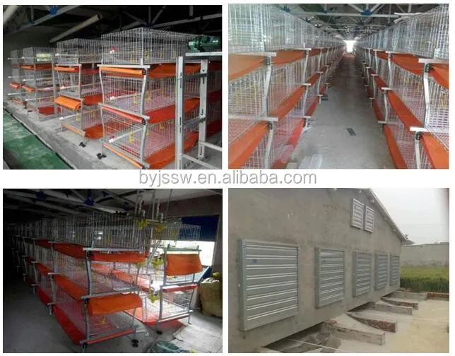 broiler cage-2.jpg