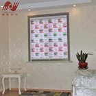 new design office door cafe transparent cartoon paper printing zebra roller fabric blinds
