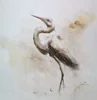 Bird Spread the Wing Animal Pictures Oil Painting For Home Modern Decoration Print Deco
