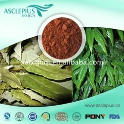 Free Samples dandelion root capsules boots Of New Structure