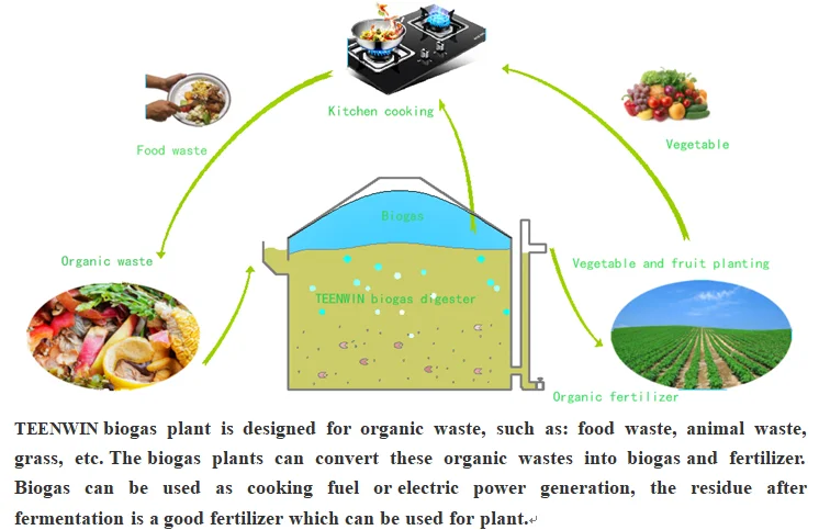 abattoir offal waste treatment plant