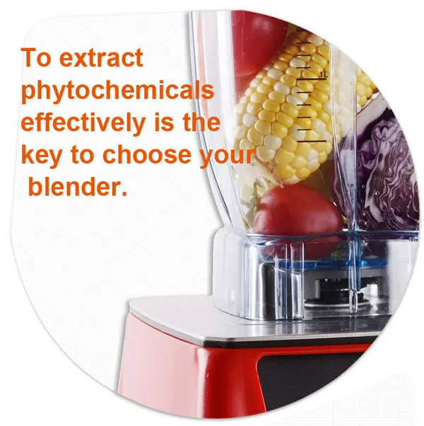 Multi nutritional mixer handblender