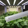 1.2m 18W full spectrum at lowes led grow light hibiscus for indoor plants