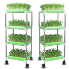 Skyplant plants growing nursery seeding fodder trays for hydroponics