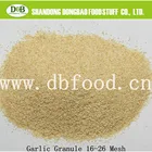 dehydrated granulated garlic for USA market