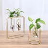 Modern Simple Small Hydroponics Glass Vase for Home Wedding Decor