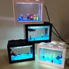 /product-detail/2018-hot-sale-aquarium-fish-tank-with-usb-led-lighting-for-christmas-gift-60557080193.html