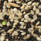 Sesame Color Sorter Used Color Sorter