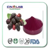 Natural Mulberry Fruit Extract/ Mulberry Extract powder