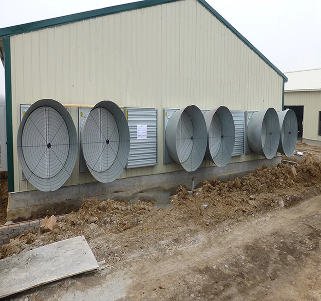 Advanced Poultry Farming Equipment With Automatic Breeding System