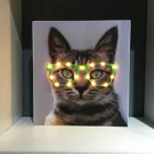 New Light Cat Face New Style MDF Wooden Picture Photo Frame With Led Light