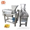 Good Performance Small Lemon Apple Pineapple Carrot Ginger Extracting Production Juice Extractor Machine to Make Fruit Juice