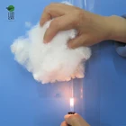Polyester Flame Retardant Flame Polyester Fibre 15dx64mm Polyester Fiber Flame Retardant