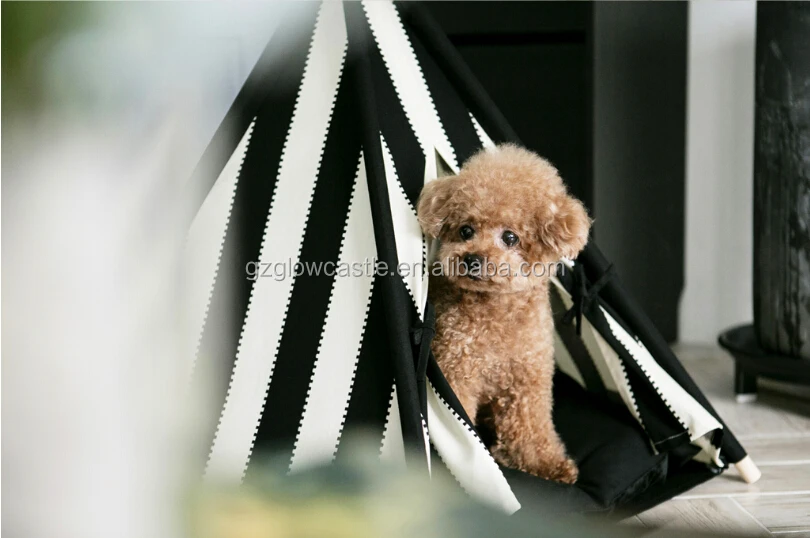 pet tent (4).jpg