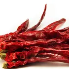 Import Export Red Chilli Chinese erjintiao Chili Chaotian chilli Dry Red Chili