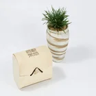 Factory Supply Top Quality Birch Wood Craft Box Wooden Gift Packaging Boxes