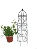 /product-detail/garden-obelisk-trellis-488385221.html