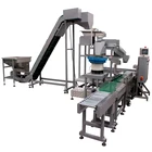 Automatical 25kg carton packing machine for Fasteners and Hardware